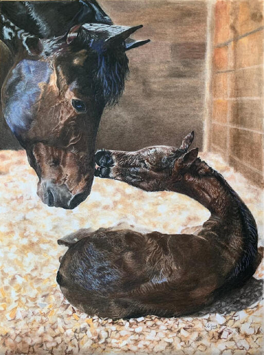 24x18 Pastels, charcoal