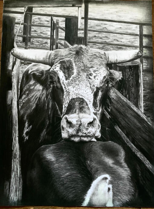 "Sampson" 24x18 Charcoal