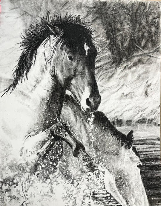 "Something in the Water" 14x11 Graphite & Charcoal